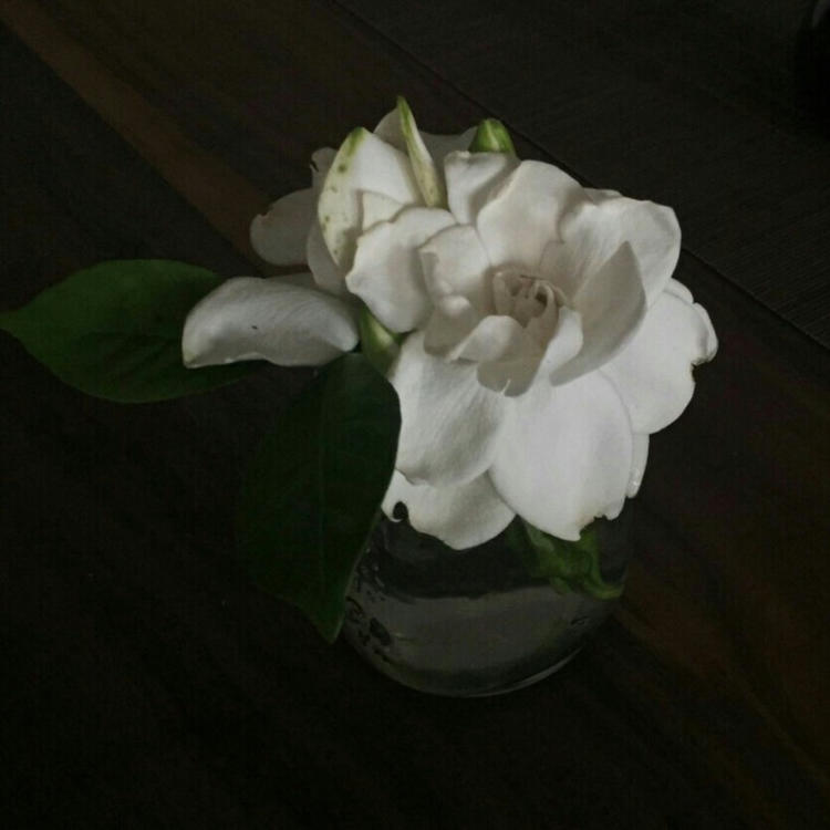 吉田俊司 - 教育课程视频在线观看 - 线上追剧
